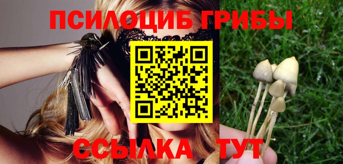 Псилоцибиновые грибы Psilocybine cubensis Красный Сулин